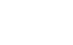 CSA -pt